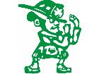  Leprechan Fireman Decal