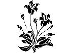  Lily Plant 1 5 4 V A 1 Decal