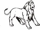  Lion Animal Wild 0 0 4a Decal