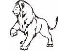  Lion Animal Wild 0 0 5a Decal