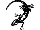  Lizard Web Decal