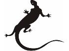  Lizards 0 3 1a Decal
