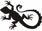  Lizards 0 3 6a Decal
