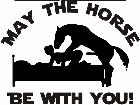  Maythe Horse- Force Decal
