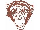  Monkey Chimp Decal
