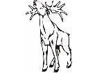  Moose Animal Wild 0 3 3a Decal
