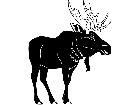  Moose 1 4 5 V A 1 Decal