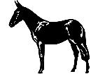  Mule Donkey 1 4 3 V A 1 Decal