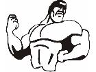  Muscleman Decal