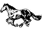  Mustang Horse Run 3 M B 1 Decal