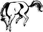  Mustang Horse 1 4 6 V A 1 Decal