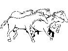  Mustang Horses Group M B 1 Decal