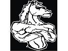  Mustang Pony Muscle Decal