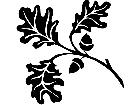  Oak Twig 1 5 4 V A 1 Decal