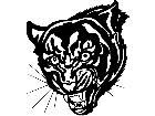  Panther Head 1 4 6 V A 1 Decal