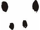  Paw Prints 0 1 Decal