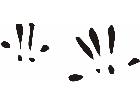  Paw Prints 0 2 Decal