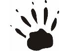  Paw Prints 0 3 Decal
