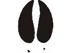  Paw Prints 1 0 Decal