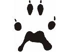  Paw Prints 2 6 Decal