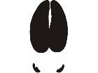 Paw Prints 2 8 Decal