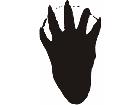  Paw Prints 3 1 Decal
