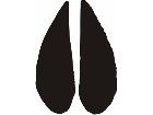 Paw Prints 3 2 Decal
