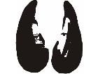  Paw Prints 3 3 Decal