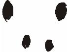  Paw Prints 3 5 Decal