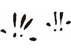  Paw Prints 3 6 Decal