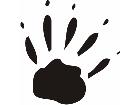  Paw Prints 3 7 Decal