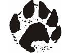  Paw Prints 4 1 Decal
