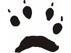  Paw Prints 4 4 Decal