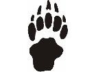  Paw Prints 4 5 Decal