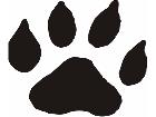  Paw Prints 4 6 Decal