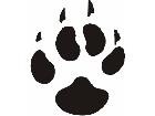  Paw Prints 4 8 Decal
