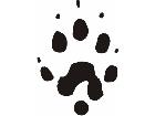  Paw Prints 4 9 Decal