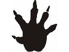  Paw Prints 5 0 Decal