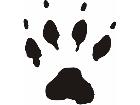  Paw Prints 5 1 Decal