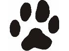  Paw Prints 5 2 Decal