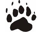  Paw Prints 5 3 Decal
