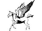  Pegasus T G P A 1 Decal