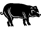  Pig 1 3 9 V A 1 Decal
