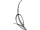  Pinstriping Designs 0 0 7 1 0 5 V A 1 Decal