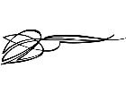  Pinstriping Designs 0 3 6 1 0 6 V A 1 Decal