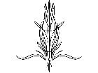  Pinstriping Designs 1 3 9 1 1 0 V A 1 Decal