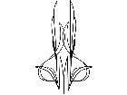  Pinstriping Designs 1 4 0 1 1 0 V A 1 Decal