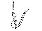  Pinstriping Designs 1 4 2 1 1 0 V A 1 Decal