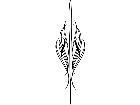  Pinstriping Designs 1 9 0 1 1 2 V A 1 Decal