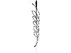  Pinstriping Designs 2 3 6 1 1 4 V A 1 Decal